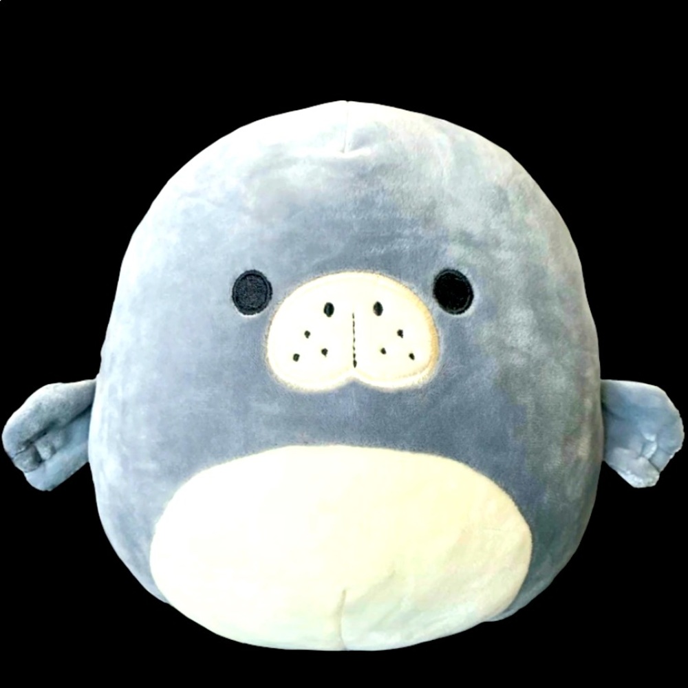 Squishmallows Matt the Manatee. Super rare.